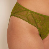 The High-Cut Brief | Moss