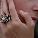 Gem Totēm | Midnight Tide Shelly Ring